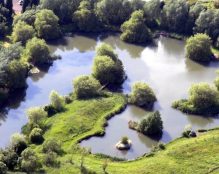 Aerial view of Lakemore Fishery, a carp angler’s haven, showcasing several interconnected ponds surrounded by lush greenery and patches of trees. The water reflects the surrounding foliage, creating a serene and picturesque natural setting.