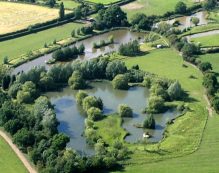 Aerial view of Lakemore Fishery, a lush green landscape with multiple ponds surrounded by trees and fields. The ponds, a carp angler’s haven, are irregularly shaped and connected by narrow water channels. There are paths and open grassy areas throughout the scene, with few buildings visible in the distance.