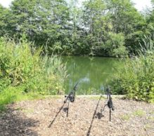 A serene fishing spot is shown with two fishing rods set up on stands, facing a calm, green pond at Lakemore Fishery, A Carp Angler’s Haven. The pond is surrounded by lush, dense trees and tall grasses. The sky above the trees is clear and sunny, casting light shadows over the scene.